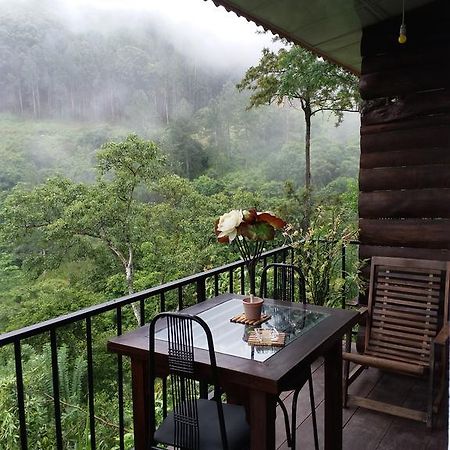 Green Lushy Home Stay Ела Екстериор снимка