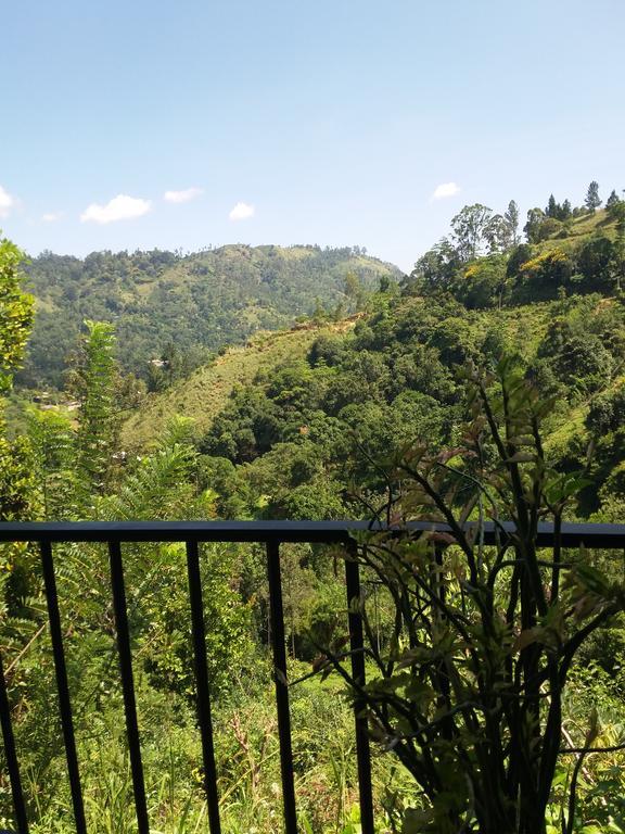 Green Lushy Home Stay Ела Екстериор снимка