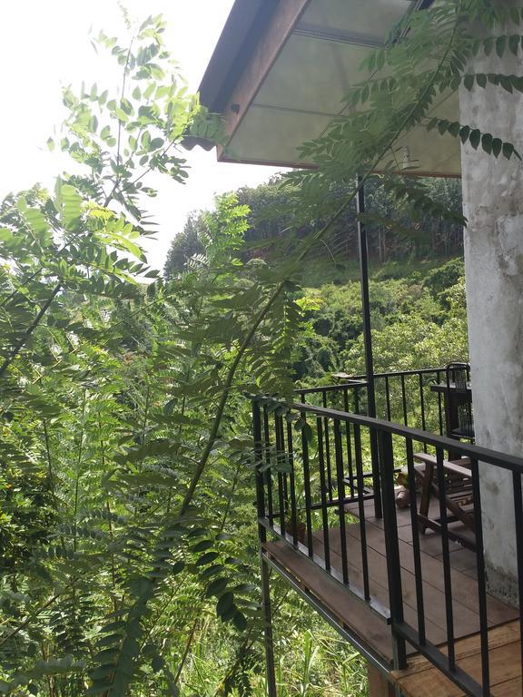 Green Lushy Home Stay Ела Екстериор снимка