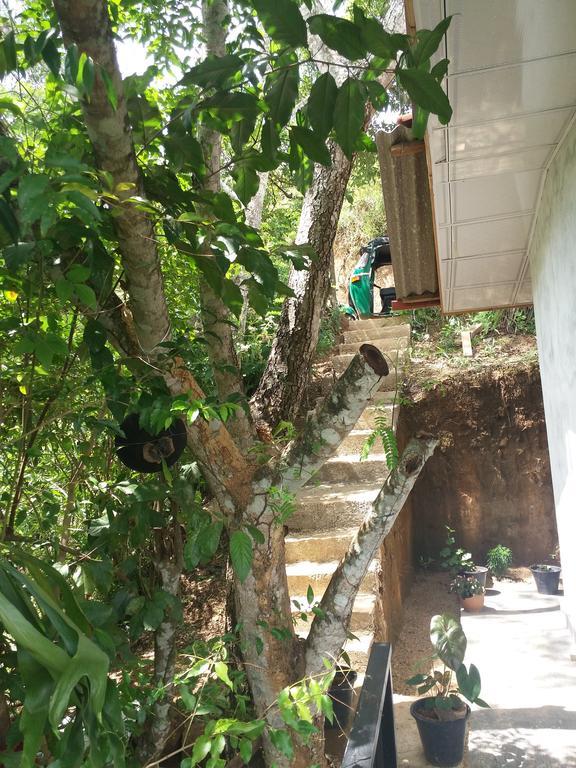 Green Lushy Home Stay Ела Екстериор снимка