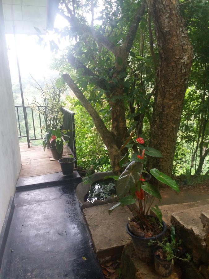 Green Lushy Home Stay Ела Екстериор снимка